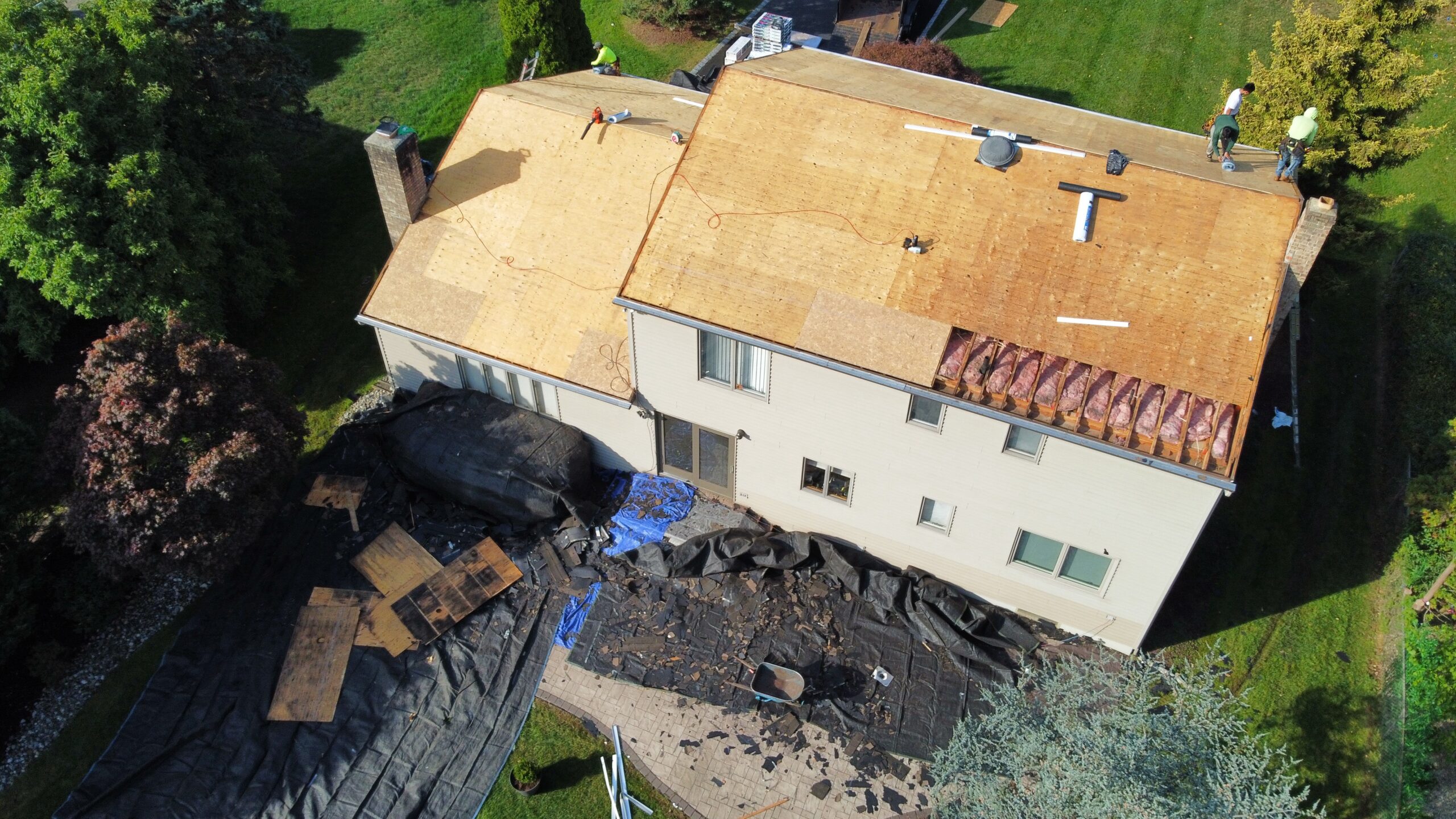 dcim100mediadji 0983.jpg